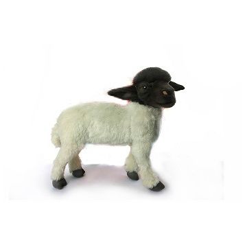 A small figurine of a sheep with a black head and white body.